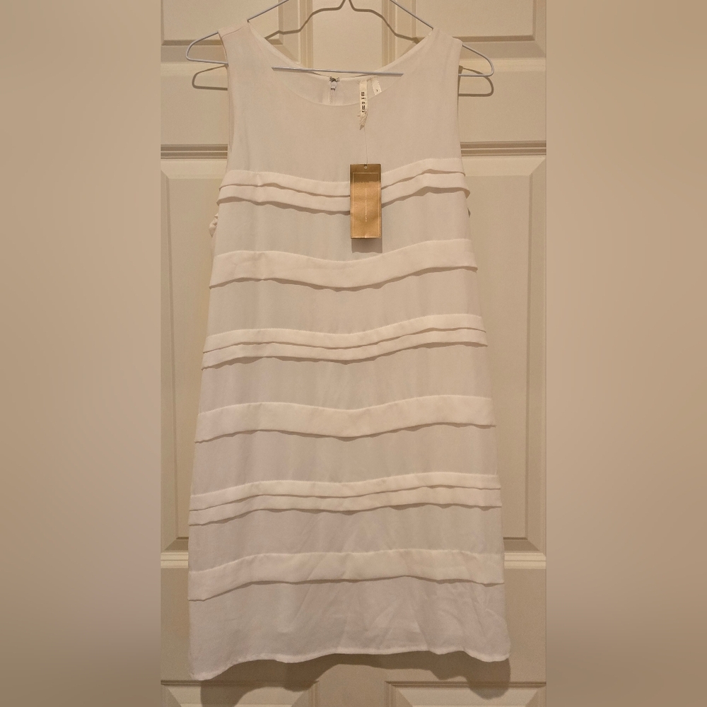 Francesca's Dress